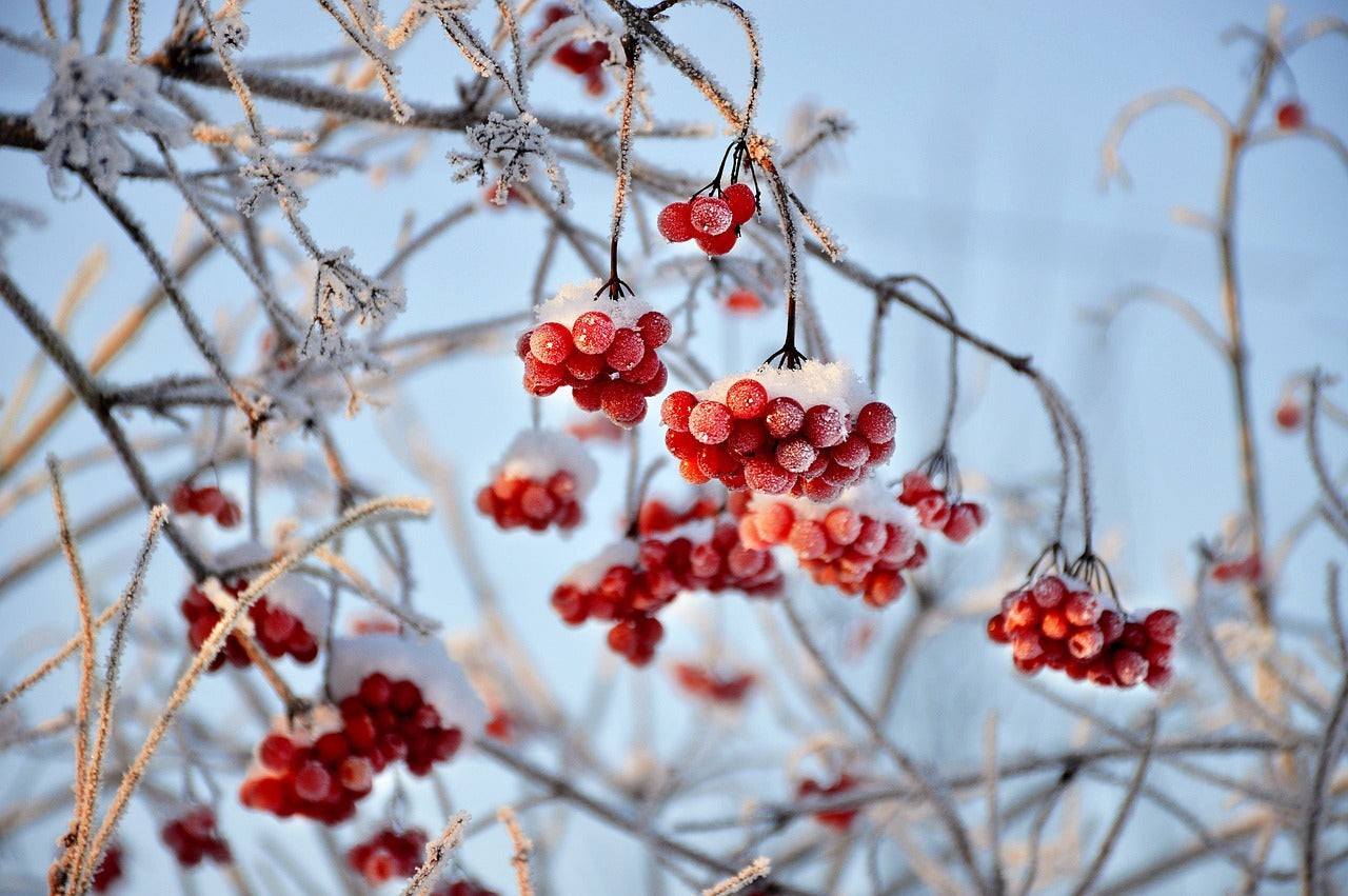 Winterkollektion